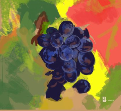 étude de raisin - pastel